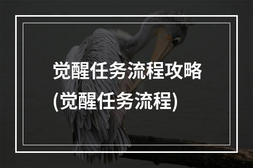 觉醒任务流程攻略(觉醒任务流程)