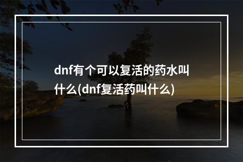 dnf有个可以复活的药水叫什么(dnf复活药叫什么)