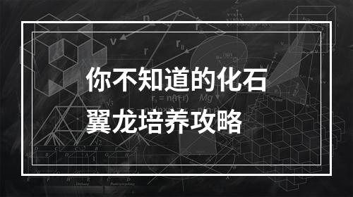 你不知道的化石翼龙培养攻略