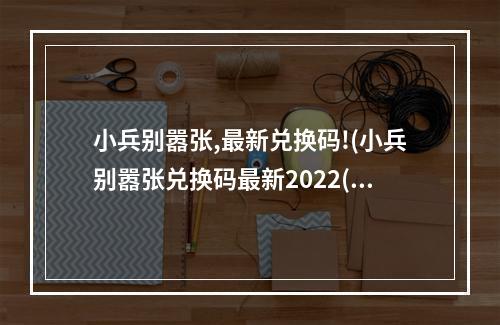 小兵别嚣张,最新兑换码!(小兵别嚣张兑换码最新2022(真实有效) 小兵别嚣张兑换)