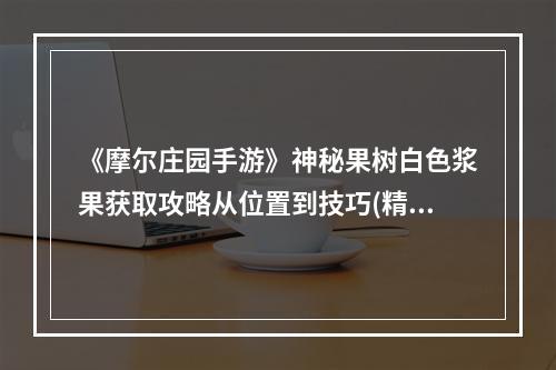 《摩尔庄园手游》神秘果树白色浆果获取攻略从位置到技巧(精通白色浆果获取，轻松升级)