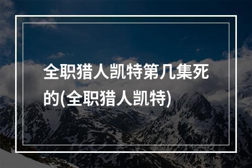 全职猎人凯特第几集死的(全职猎人凯特)