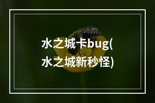 水之城卡bug(水之城新秒怪)