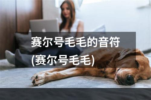 赛尔号毛毛的音符(赛尔号毛毛)