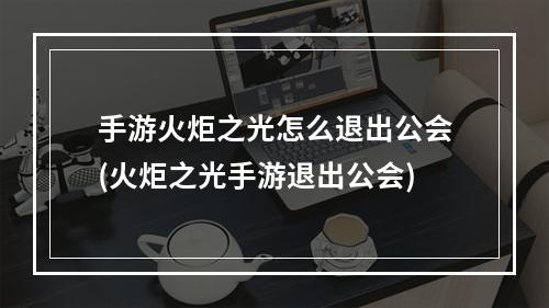 手游火炬之光怎么退出公会(火炬之光手游退出公会)