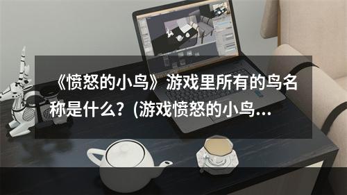 《愤怒的小鸟》游戏里所有的鸟名称是什么？(游戏愤怒的小鸟)