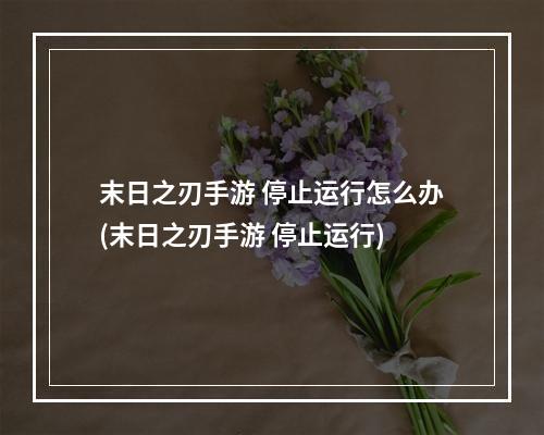 末日之刃手游 停止运行怎么办(末日之刃手游 停止运行)