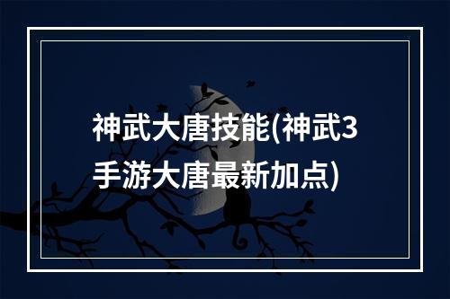 神武大唐技能(神武3手游大唐最新加点)