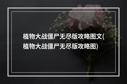 植物大战僵尸无尽版攻略图文(植物大战僵尸无尽版攻略图)