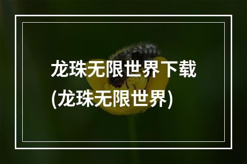 龙珠无限世界下载(龙珠无限世界)