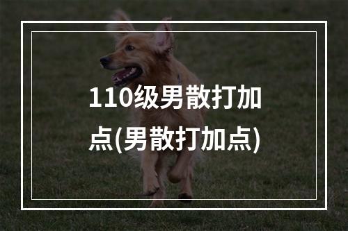 110级男散打加点(男散打加点)