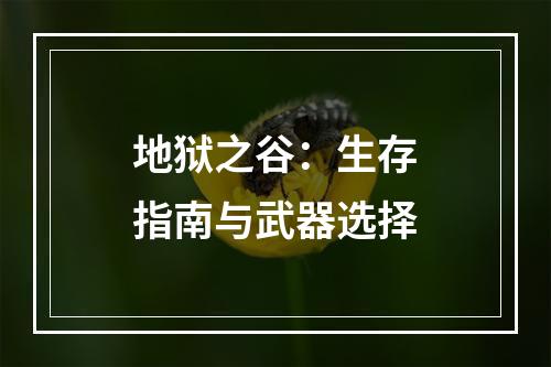 地狱之谷：生存指南与武器选择