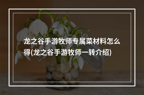 龙之谷手游牧师专属菜材料怎么得(龙之谷手游牧师一转介绍)