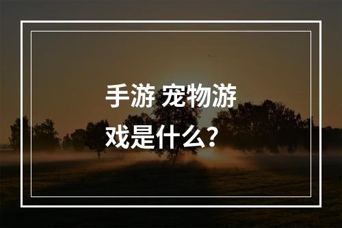 手游 宠物游戏是什么？