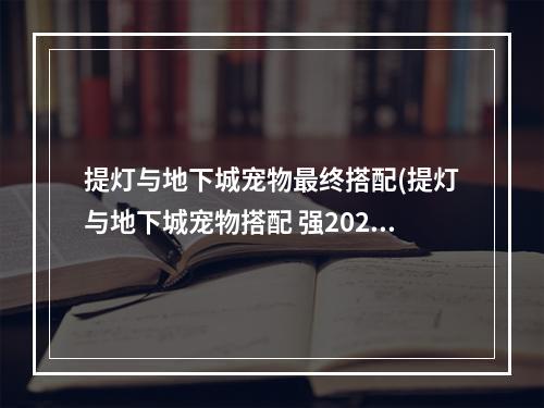 提灯与地下城宠物最终搭配(提灯与地下城宠物搭配 强2022 提灯与地下城宠物搭配推荐)