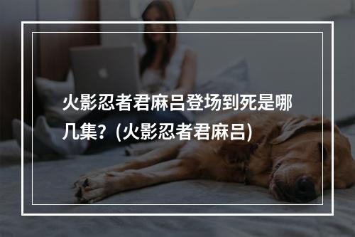 火影忍者君麻吕登场到死是哪几集？(火影忍者君麻吕)