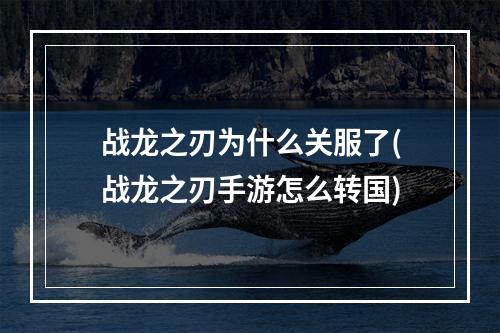 战龙之刃为什么关服了(战龙之刃手游怎么转国)