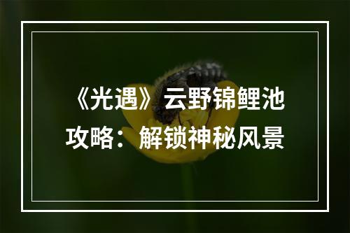 《光遇》云野锦鲤池攻略：解锁神秘风景