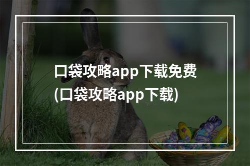 口袋攻略app下载免费(口袋攻略app下载)