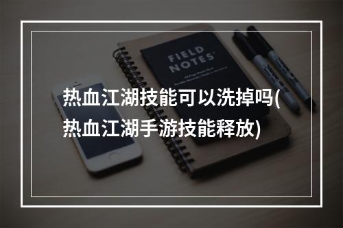 热血江湖技能可以洗掉吗(热血江湖手游技能释放)