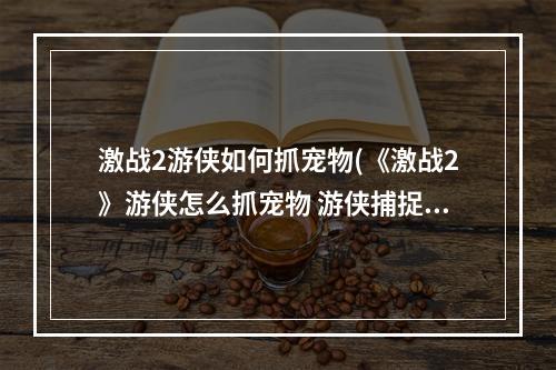 激战2游侠如何抓宠物(《激战2》游侠怎么抓宠物 游侠捕捉宠物方法  机)