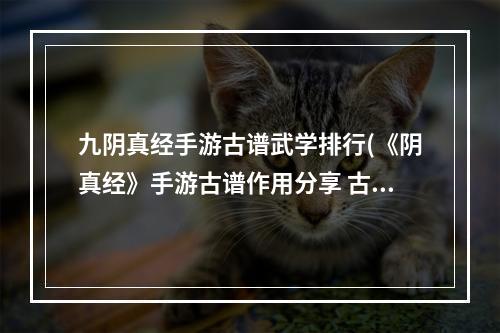 九阴真经手游古谱武学排行(《阴真经》手游古谱作用分享 古谱内功介绍 )