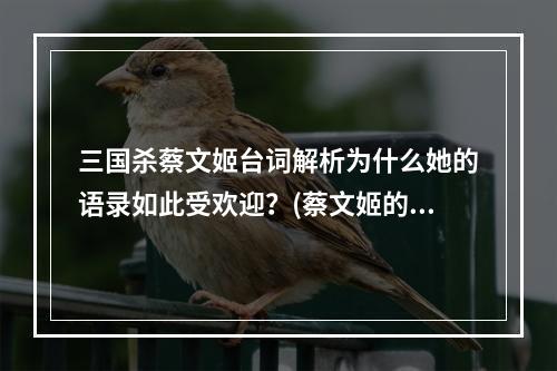 三国杀蔡文姬台词解析为什么她的语录如此受欢迎？(蔡文姬的语录解析)