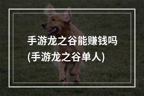 手游龙之谷能赚钱吗(手游龙之谷单人)