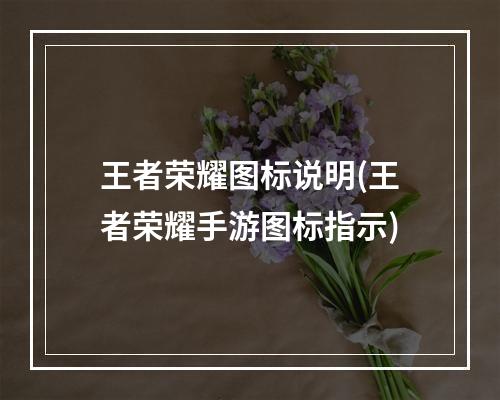 王者荣耀图标说明(王者荣耀手游图标指示)