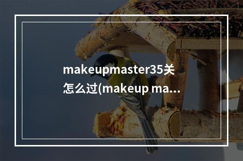 makeupmaster35关怎么过(makeup master怎么过makeup master全关卡图文过关攻略)