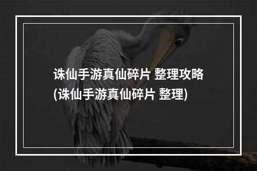 诛仙手游真仙碎片 整理攻略(诛仙手游真仙碎片 整理)