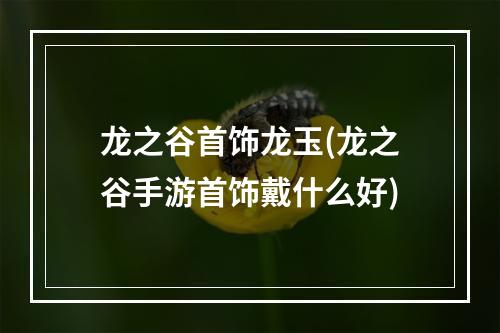 龙之谷首饰龙玉(龙之谷手游首饰戴什么好)