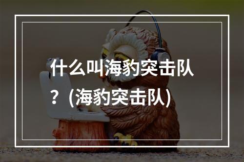 什么叫海豹突击队？(海豹突击队)