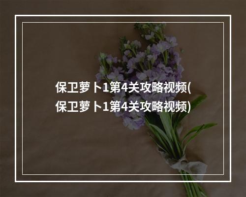 保卫萝卜1第4关攻略视频(保卫萝卜1第4关攻略视频)