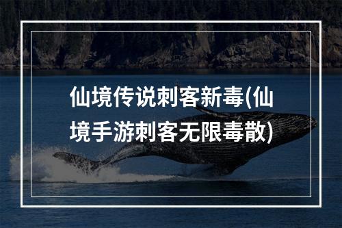 仙境传说刺客新毒(仙境手游刺客无限毒散)