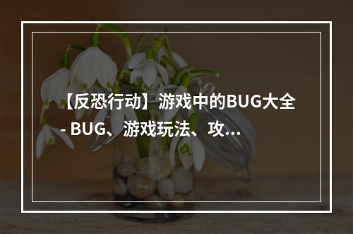 【反恐行动】游戏中的BUG大全 - BUG、游戏玩法、攻略