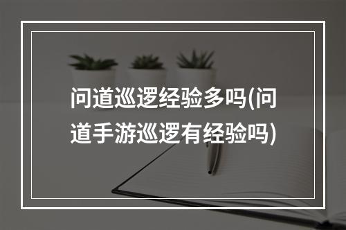 问道巡逻经验多吗(问道手游巡逻有经验吗)