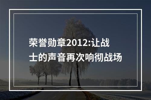 荣誉勋章2012:让战士的声音再次响彻战场