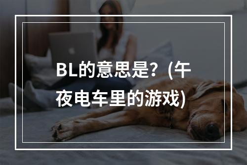 BL的意思是？(午夜电车里的游戏)