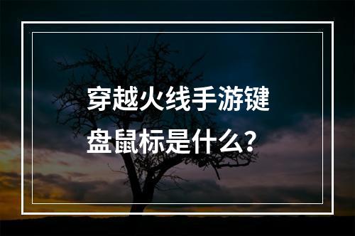 穿越火线手游键盘鼠标是什么？