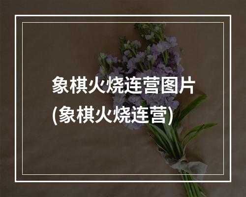 象棋火烧连营图片(象棋火烧连营)