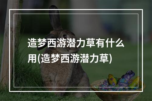 造梦西游潜力草有什么用(造梦西游潜力草)