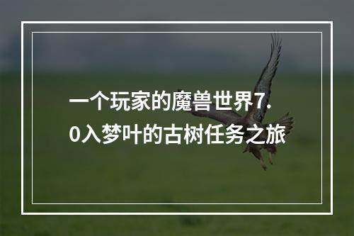 一个玩家的魔兽世界7.0入梦叶的古树任务之旅