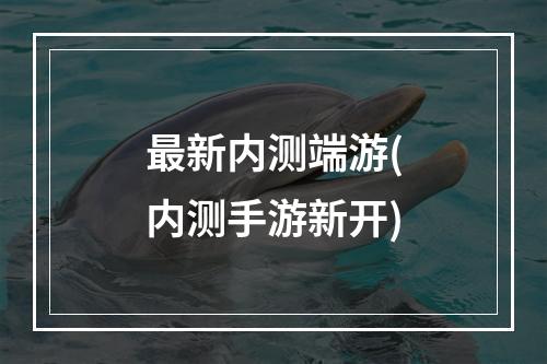 最新内测端游(内测手游新开)