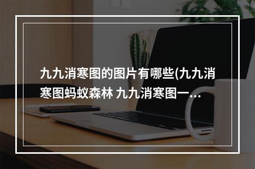 九九消寒图的图片有哪些(九九消寒图蚂蚁森林 九九消寒图一共多少天蚂蚁庄园)