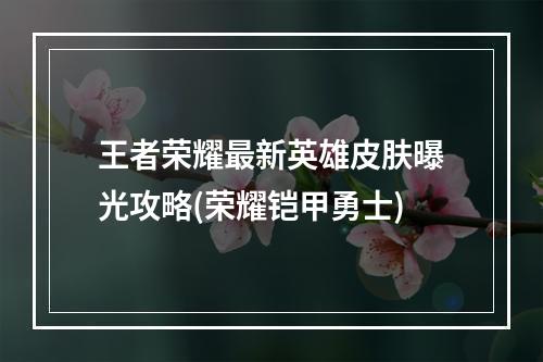 王者荣耀最新英雄皮肤曝光攻略(荣耀铠甲勇士)