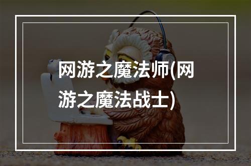 网游之魔法师(网游之魔法战士)