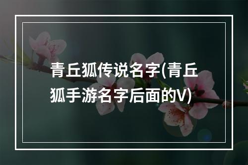 青丘狐传说名字(青丘狐手游名字后面的V)