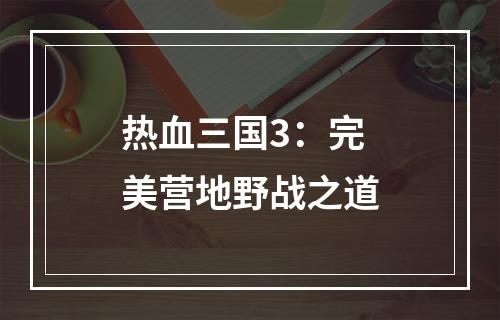 热血三国3：完美营地野战之道