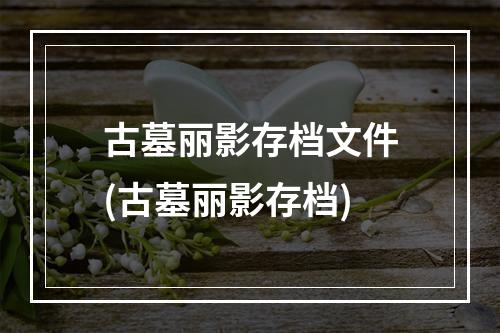 古墓丽影存档文件(古墓丽影存档)